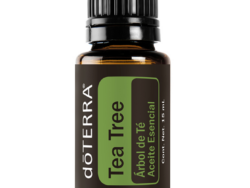 Tea Tree
