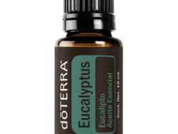 Eucalipto
