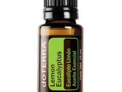 eucalipto limon