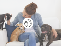 Viví mejor con tu mascota