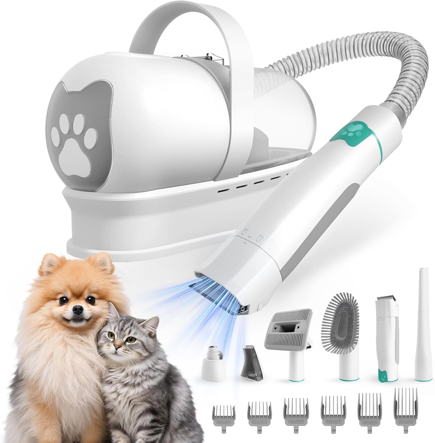 dogscats